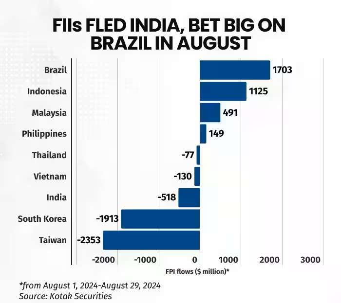 FIIs Show Mixed Activity in First Eight Months of 2024